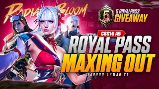 C6S16 A5 Royal Pass Maxing Out  5 RP Giveaway  🔥 PUBG MOBILE 🔥 [upl. by Barbey]