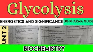 Glycolysis  Energetic and significance  biochemistry [upl. by Alesram759]