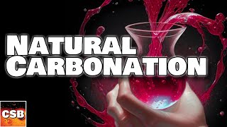 Natural Carbonation Explained Carbonating Mead Wine Cider and Beer [upl. by Efi]