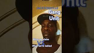 Jacksonville FL gang unit [upl. by Odnaloy]