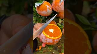 EyeOpening😳Facts About FruitsThat Will Blow Your Mind🌟fruits facts satisfying oranges news [upl. by Astrahan199]