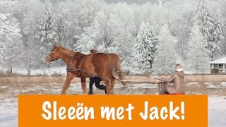 Sleeën met Jack  PaardenpraatTV [upl. by Palocz]