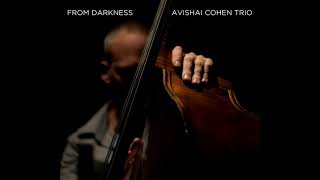 Avishai Cohen  Abie [upl. by Gayl]