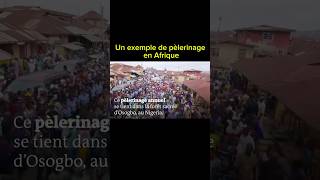 Un exemple de pèlerinage en Afrique [upl. by Marcellina518]