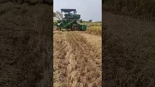 raitheraju kadu🌾🌾appudu kaledufarmlife farming [upl. by Yboc]