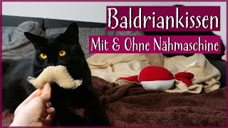 DIY Baldriankissen für Katzen Ohne amp mit Nähmaschine  Günstiges Katzenspielzeug [upl. by Orvas]