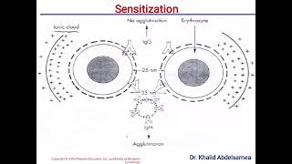 Antigen Antibody Reaction [upl. by Arakaj]