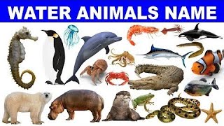 Water Animals  Interesting Facts About Some Water Animals wateranimals [upl. by Lucey]