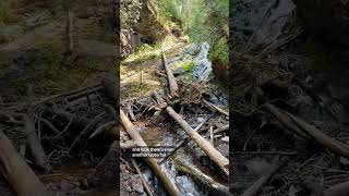 Adventures in Michigan’s Keweenaw Peninsula travel nature waterfall michigan upperpeninsula [upl. by Lucila]