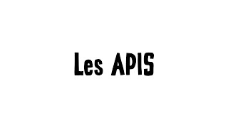 Vulgarisation Informatique  Les APIS [upl. by Rossner]