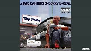 2Pac  Thug Paradise [upl. by Biegel]