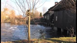 Hoogwater in de Dommel [upl. by Pooi]