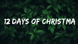 1 Hour Version Pentatonix  12 Days Of Christmas 🎄 Lyrics  Music Lyrics [upl. by Hardin901]