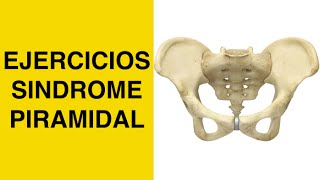 Sindrome Piramidal  Piriforme  Estiramiento Piramidal y Pinzamiento del Nervio Ciatico  Ciatica [upl. by Eeryt148]