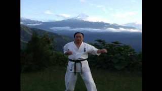 SANCHIN TENSHO KATA Kancho Yoshikazu Matsushima [upl. by Annaeel]