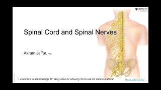 Ascending and Descending Spinal Cord Tracts Made Easy [upl. by Imalda]