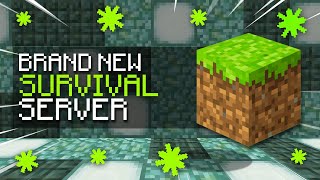 PLAYING ON THE BEST MINECRAFT SURVIVAL SERVER [upl. by Stamata416]