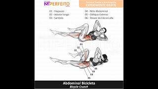 Abdominal Bicicleta  Músculos Trabalhados [upl. by Cooperstein63]