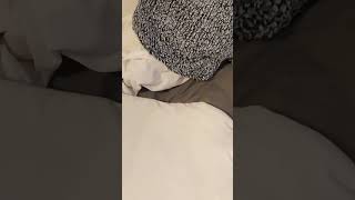 Sharper image pillow  product review Godislove Light Life bornagainTIs gangstalking Yeshua [upl. by Korman]