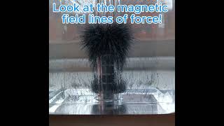 Suspended Magnet physics magnet electromagnetictheory experiment magnetism pascoscientific [upl. by Woodward]