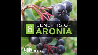 Aronia Berry  aronia berry benefits  aronia berry side effects  aronia berry extract [upl. by Bazil]