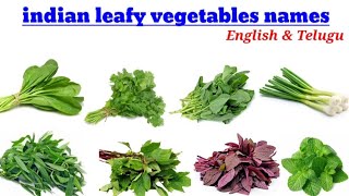 Indian leafy vegetables name English to Telugu leafy vegetables names leafy vegetables names [upl. by Aikemat161]