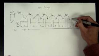 Concentrations Part 5  serial dilution [upl. by Nasar]