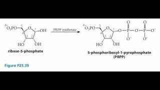 Synthesis of Phosphoribosyl Pyrophosphate PRPP Explanation [upl. by Bussy]