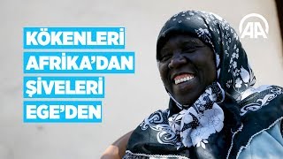 Kökenleri Afrikadan şiveleri Egeden [upl. by Ahsiadal783]