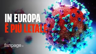 Coronavirus in Europa è più letale lo studio che ha scoperto 30 ceppi del Coronavirus [upl. by Socha]