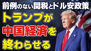 【米大統領選2024】トランプが中国経済を終わらせる。前例のない関税とドル安政策（畠山元太朗）【言論チャンネル】 [upl. by Iveson]