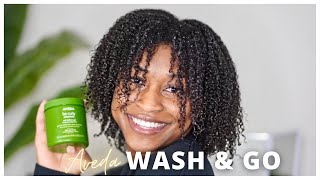 Who doesnt want a one product wash and go [upl. by Ivette]