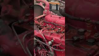 International harvester 574 tractor with D239 engine Farm ￼InternationalHarvester ￼diesel diy [upl. by Eentruoc]