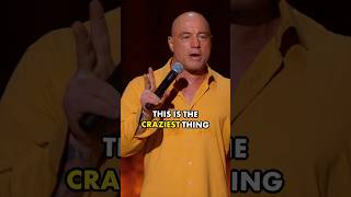 Bodies Exhibit  Joe Rogan comedyshorts funny [upl. by Asil746]