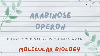 Arabinose Operon  Molecular Biology [upl. by Sig]