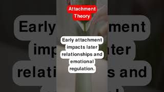 Attachment Theory [upl. by Yren]