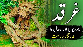 Gharqad ka darakht  Tree of jews and dajjal  reality of gharqad tree in Israel  Nasir Voice [upl. by Sixela]