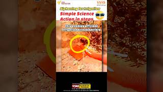 bro exploiting science for irrigation simple physics siphon action steps viralvideo shorts [upl. by Atteloc205]