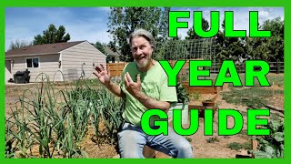 How to Grow Garlic  COMPLETE GUIDE Planting to Harvest [upl. by Sculley257]