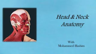 Head and Neck L2  Skull Osteology  p1 [upl. by Merritt]