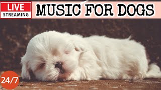 🔴LIVE Dog Music🎵Dog Calming Music🐶💖Anti Separation Anxiety Music💖🦮Dog Deep Sleep Soothing Music🔴11 [upl. by Ojibbob]