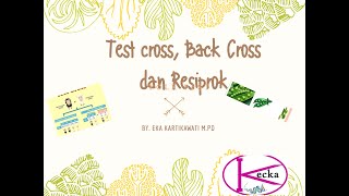 Uji silang Testcross backcross persilangan balik resiprok [upl. by Navad]