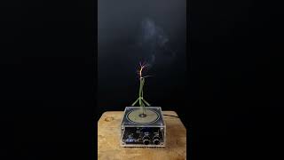 Experiment tesla coil  grass [upl. by Kling957]