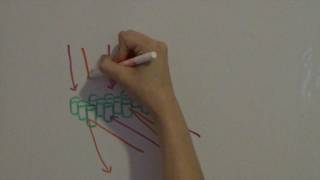 Photonic Crystals [upl. by Everett]