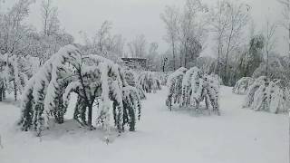 Harmukh Bartal Snow Version Kashmiri Song 2018 [upl. by Geer]