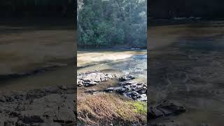 Warrandyte State Park  VIC Australia park lake river camping hike asmr relax outback [upl. by Nahshon]