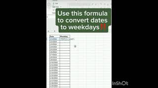 How to Convert Days and Weeks in Excel excel day formula [upl. by Martainn]