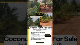 Coconut FarmFor Sale Near Aliyar Dam Kottur Pollachi TN [upl. by Toile]