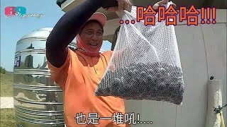 挖挖樂 新竹香山濕地挖文蛤環文蛤之旅201805台灣69J釣魚俱樂部69J FishingClub [upl. by Aicina]