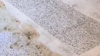 How do I Remove Terrazzo Tiles From Concrete Services in Fort Lauderdale [upl. by Penelope575]